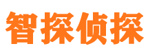 栾川市侦探调查公司